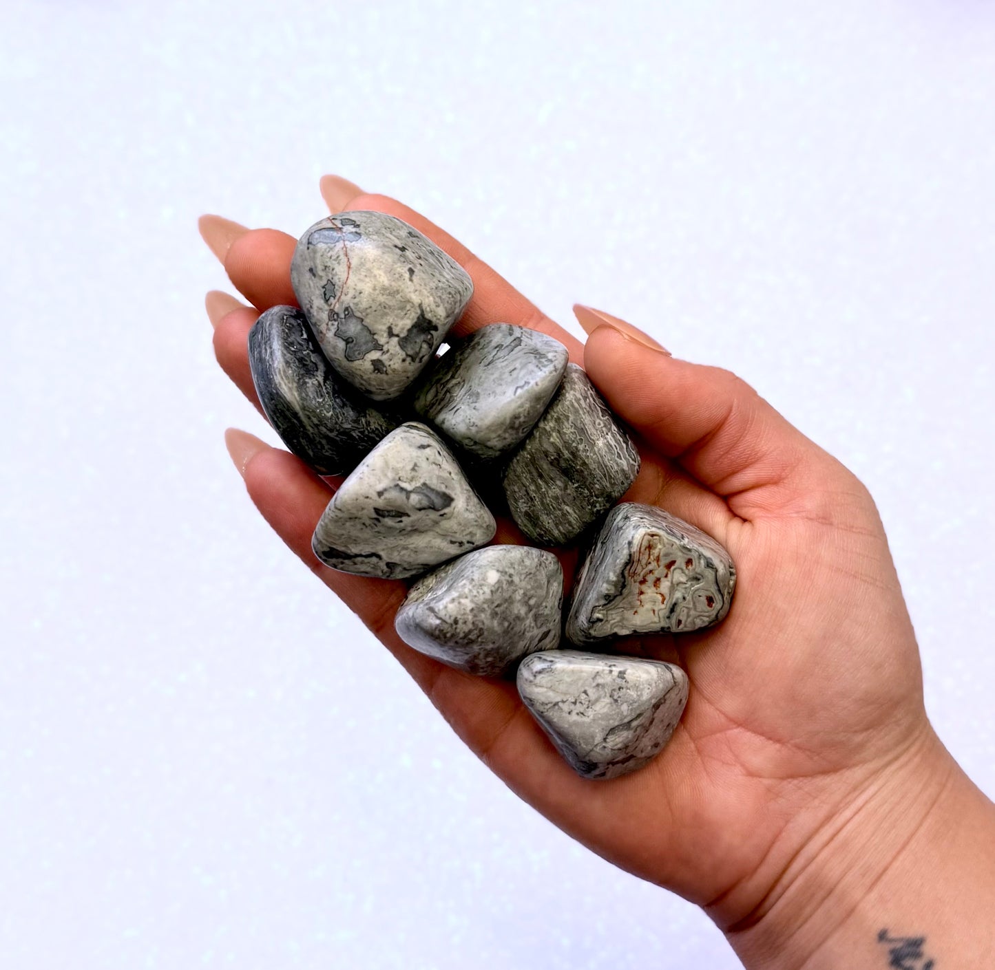 Picasso Jasper Tumble Stone from Australia Extra Large