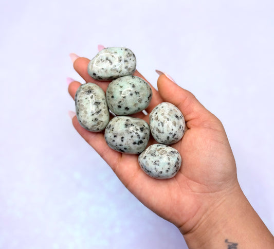 Kiwi Jasper Tumble Stone - Extra Large Size