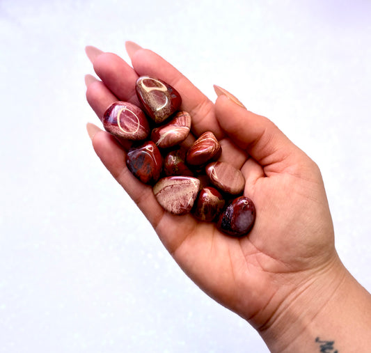 Brecciated Jasper Tumble Stone Small