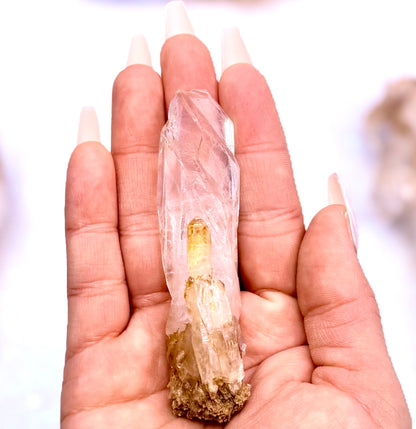 Himalayan Cathedral Clear Quartz Cluster “Halo” 40g