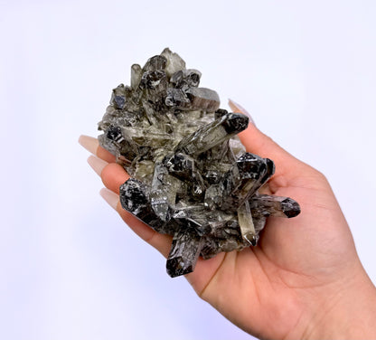 Smoky Quartz Irradiated Cluster 'Shiloh' 418g