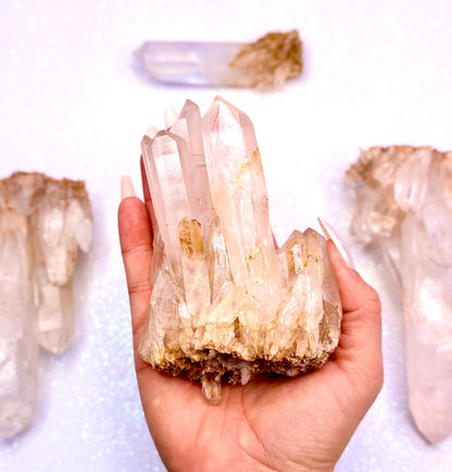 Himalayan Cathedral Clear Golden Quartz Cluster “Hunter” 330g