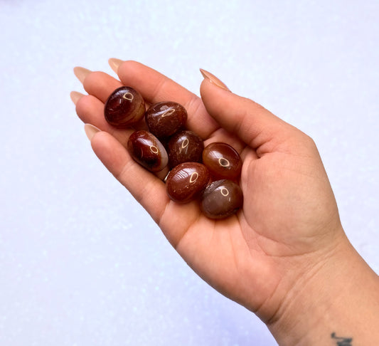 Dark Red Carnelian Tumbles - Medium Size