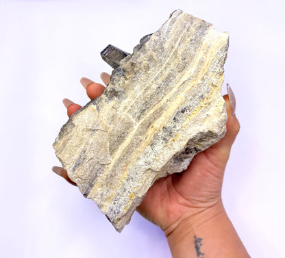 Smoky Quartz Irradiated Cluster 'Stanley' 0.987kg