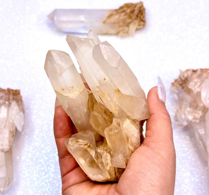 Himalayan Cathedral Clear Golden Quartz Cluster “Hunter” 330g