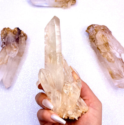 Himalayan Cathedral Clear Golden Quartz Cluster “Houston” 352g