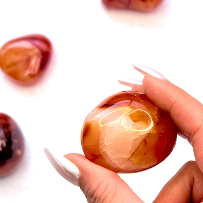 Carnelian Palm Stone #12 74g