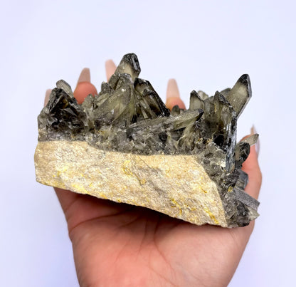 Smoky Quartz Irradiated Cluster 'Shannon' 650g