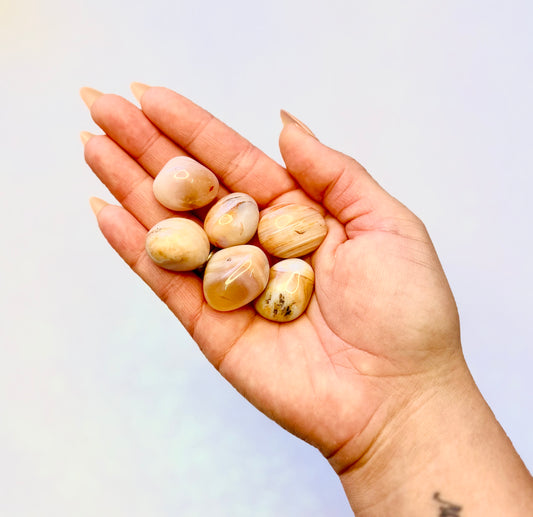 Apricot Agate Tumble Stone Medium