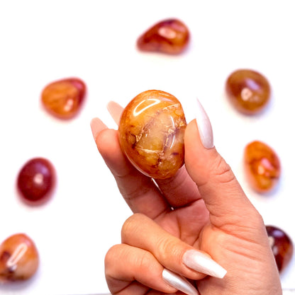 Carnelian Palm Stone #4 51g