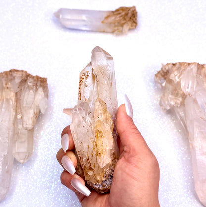 Himalayan Cathedral Clear Golden Quartz Cluster “Harley” 257g