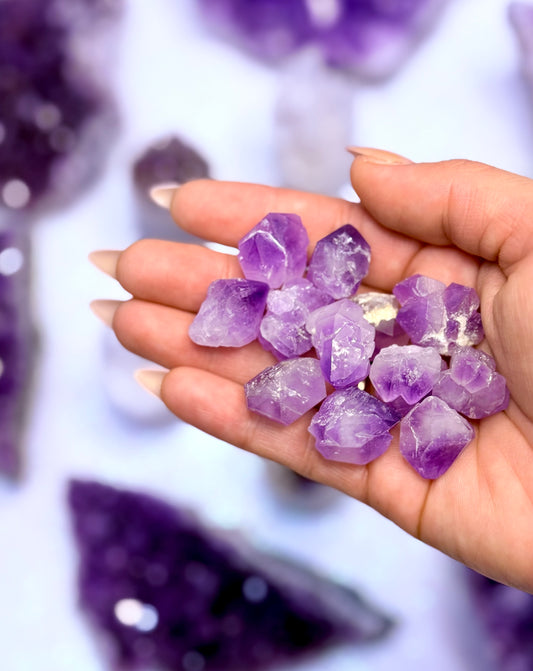 Amethyst Raw Natural Point Minis