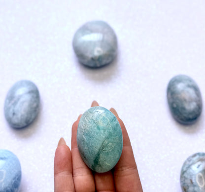 Amazonite Palm Stone #6