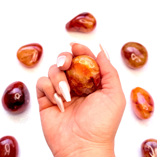 Carnelian Palm Stone #7 59g