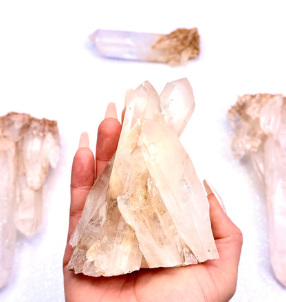 Himalayan Cathedral Clear Golden Quartz Standing Cluster "Hendrix" 400g