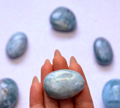 Amazonite Palm Stone #8