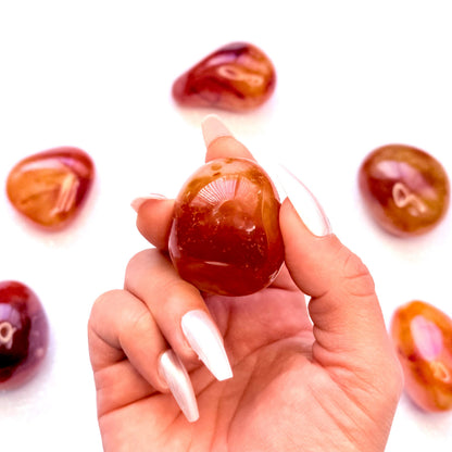 Carnelian Palm Stone #5 52g