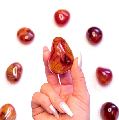 Carnelian Palm Stone #11 72g